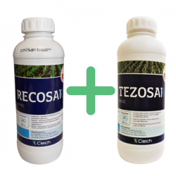 Tezosar 500 SC 1l+Recosar 960 EC 1l - pakiet herbicydów do kukurydzy