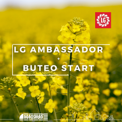 Rzepak LG Ambassador + Buteo Start