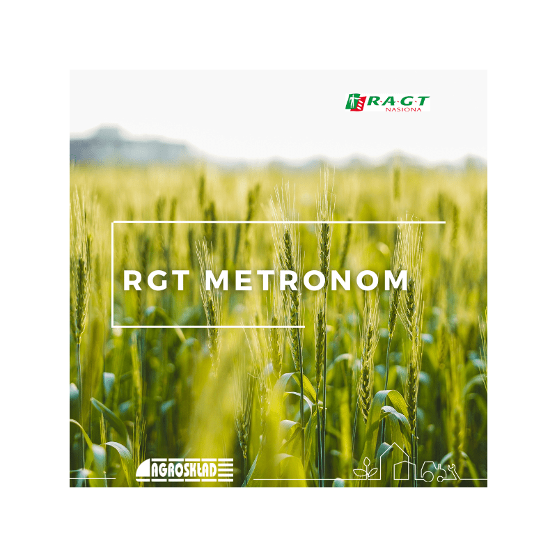 Pszenica ozima RGT Metronom  50 kg