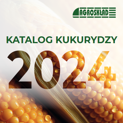Katalog kukurydzy 2024 - na co zwrócić uwagę przy wyborze odmian kukurydzy?   AGROSKŁAD Sp. z o.o.